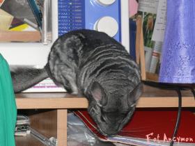 mikey09024_t1.jpg