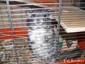 mikey09041_t1.jpg