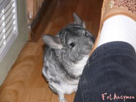 mikey09052_t1.jpg