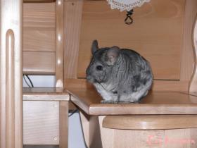 mikey09057_t1.jpg