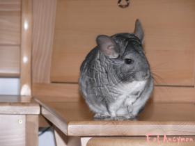 mikey09060_t1.jpg